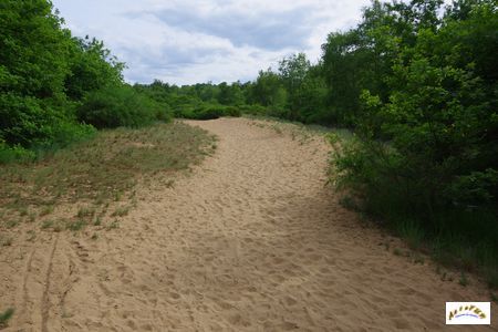 dune des charmes 2