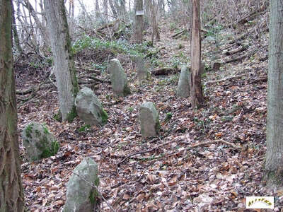 la 1ere ligne de menhirs