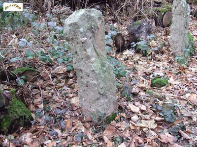 le menhir m 23