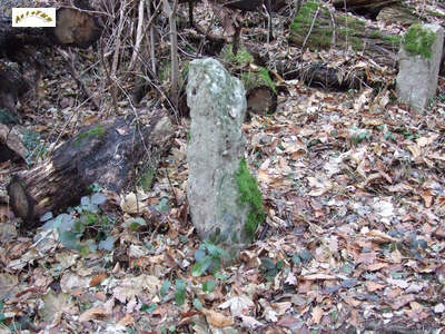 le menhir m 24