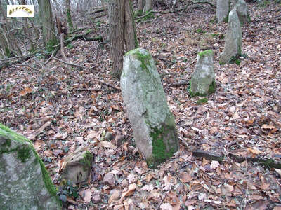 le menhir m 5