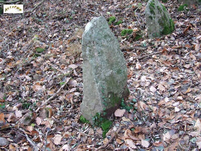 Le menhir m 7