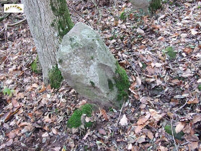 Le menhir m 9