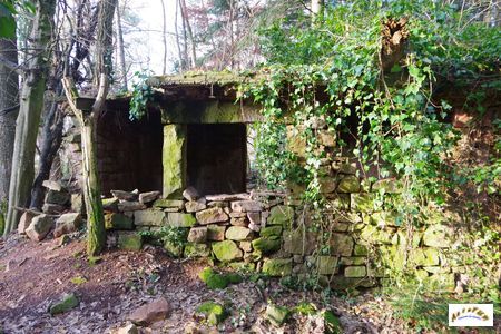 carrierre de buhl 21