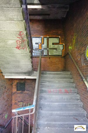 DMC 2026 friche escalier 1