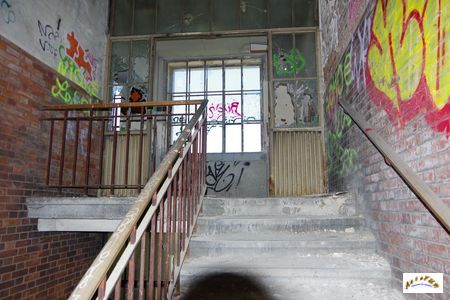 DMC 2026 friche escalier 3