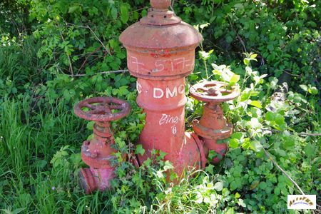 DMC 2026 3
