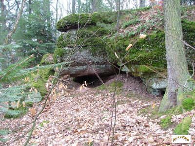 Le dessous du Dietrichstein