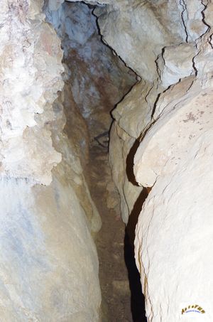 grotte herring 11