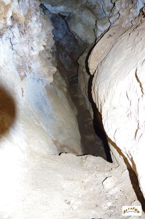 grotte herring 21