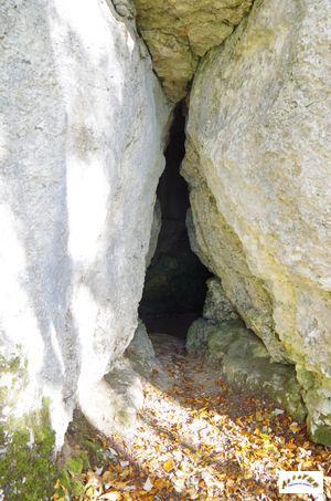 grotte herring 5
