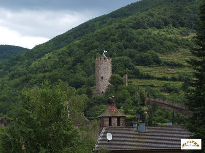 kaysersberg 2