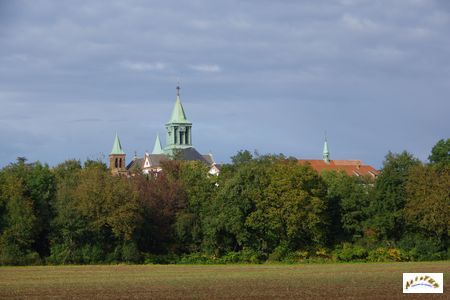 oelenberg 26
