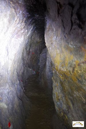 mine reichenberg 21