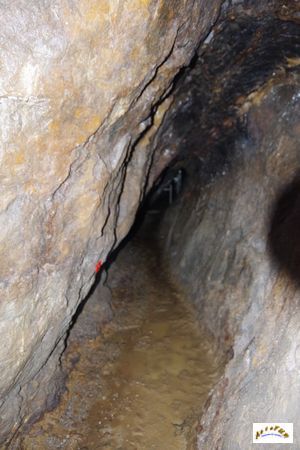 mine reichenberg 31