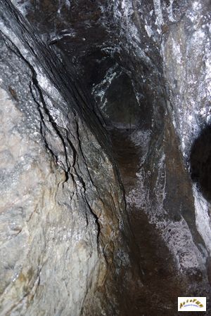 mine zum tanreis 10