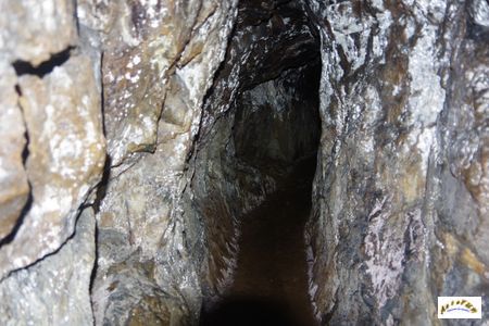 mine zum tanreis 12