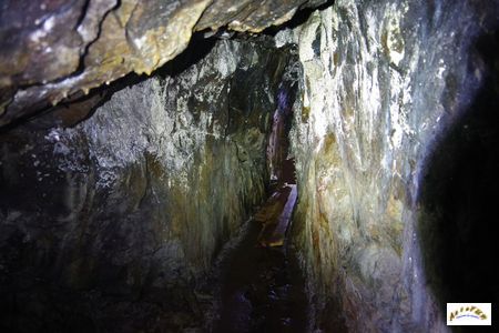 mine zum tanreis 7