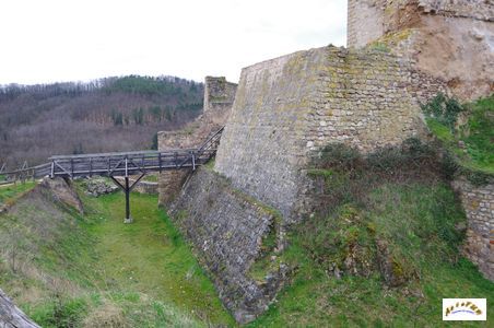 wineck 5
