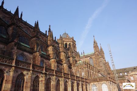 cathedrale Strasbourg 132