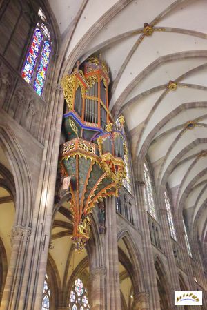 cathedrale Strasbourg 24
