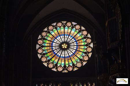 cathedrale Strasbourg 45