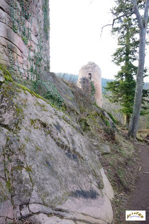 chateau landsberg 50