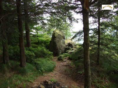 un menhir debout