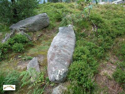 Les menhirs du cromlech