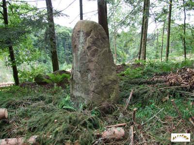 le menhir du Kappelbronn