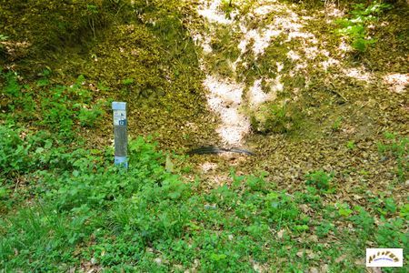 mien zum himmliche heer