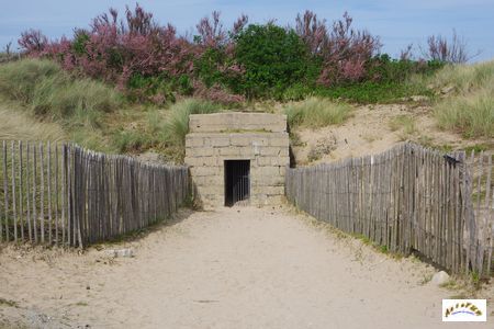 juno beach 2
