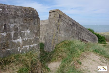 cosy bunker 3