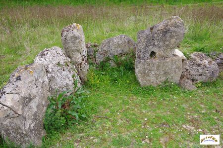 pierre tourneresse 14