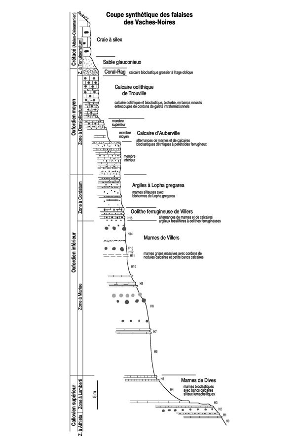 stratigraphie
