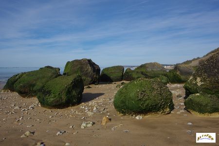 falaise des vaches noires 12