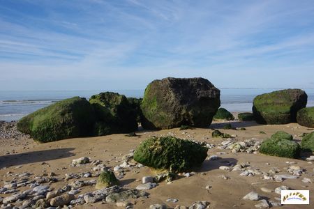 falaise des vaches noires 14