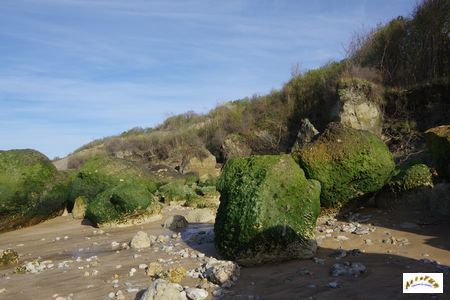 falaise des vaches noires 18