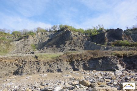 falaise des vaches noires 31
