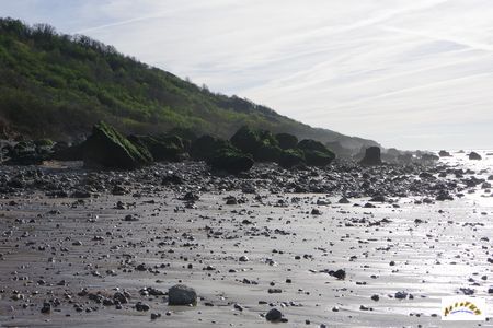 falaise des vaches noires 4