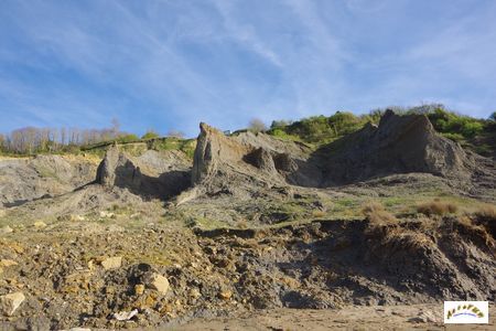 falaise des vaches noires 40