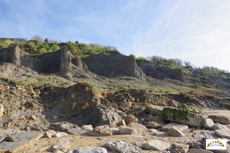 falaise des vaches noires 41