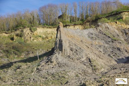 falaise des vaches noires 42