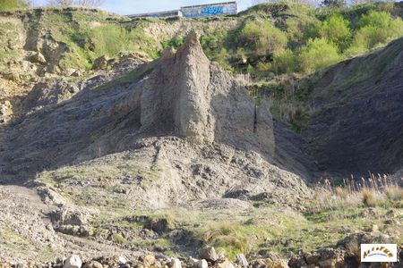 falaise des vaches noires 43