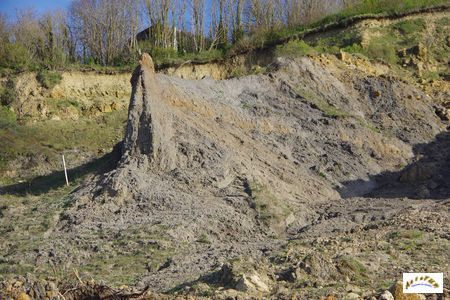 falaise des vaches noires 44