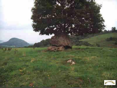 Le dolmen de Cousty