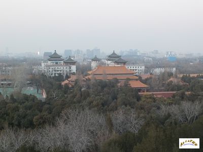 jingshan 12