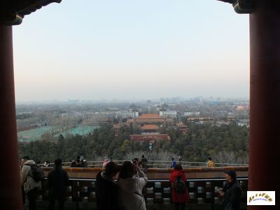 jingshan 8