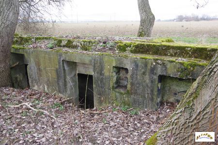 bunker 4-6