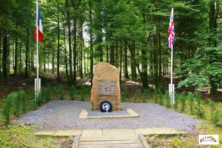 08 stele fussilée SAS